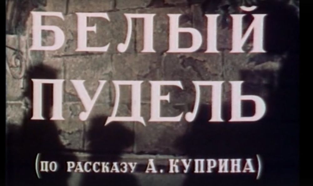 Художественный фильм «Белый пудель»