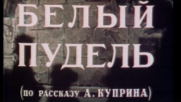 Художественный фильм «Белый пудель»