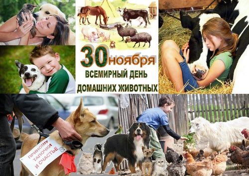 Всемирный день домашних животных
