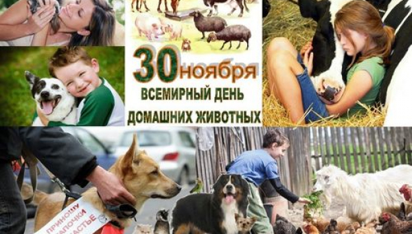 Всемирный день домашних животных