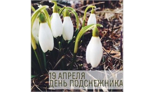 День подснежника