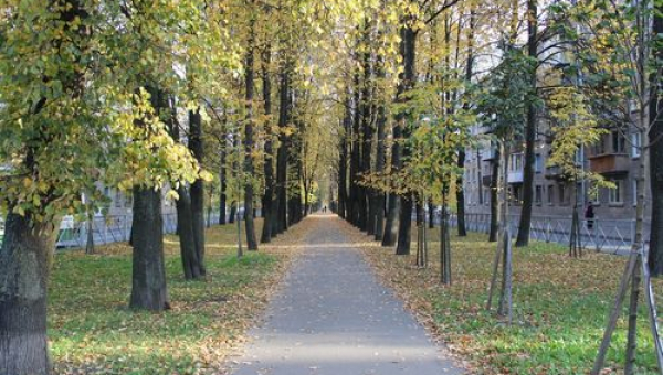 Творческая аллея