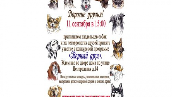 Конкурсная программа "Верный друг"
