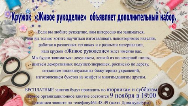 Дополнительный набор в кружок "Живое рукоделие"