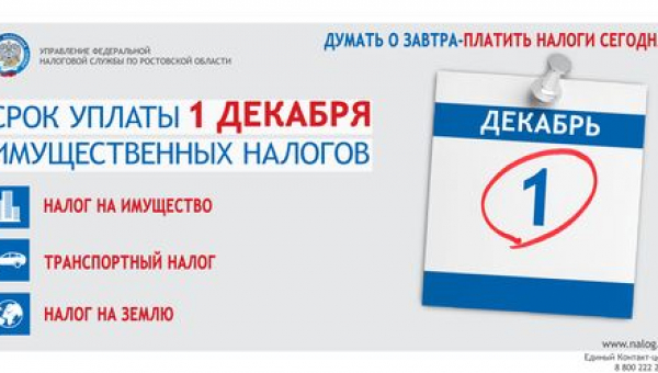 Срок уплаты налогов