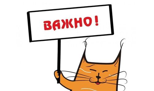 Режим работы кассы 23 февраля