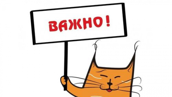 Режим работы кассы 23 февраля
