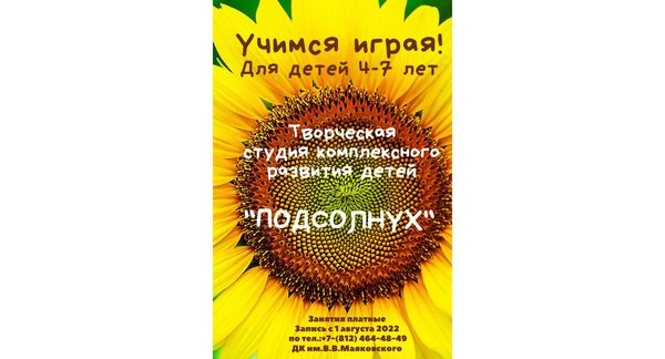 Набор в  студию комплексного развития "Подсолнух"