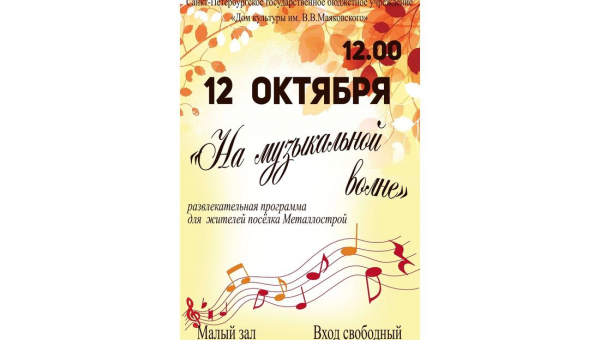Развлекательная программа "На музыкальной волне"