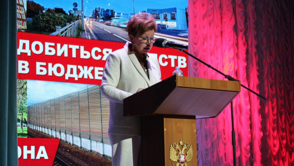 Отчёт депутата Законодательного собрания Санкт-Петербурга по Колпинскому району Киселевой Елены Юрьевны.