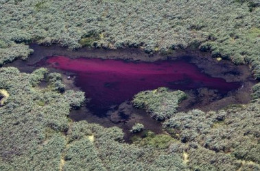 Соленое озеро возле Азовского моря. Краснодарский край