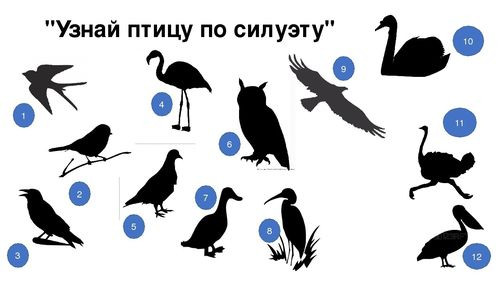 «Секреты Земли Ижорской» - познавательная программа для детей в рамках проекта «Усть-Ижора»