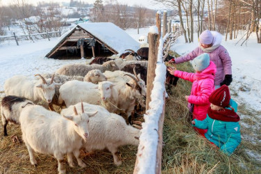 Всероссийский православный фольклорный фестиваль "Вслед за Рождественской звездой"